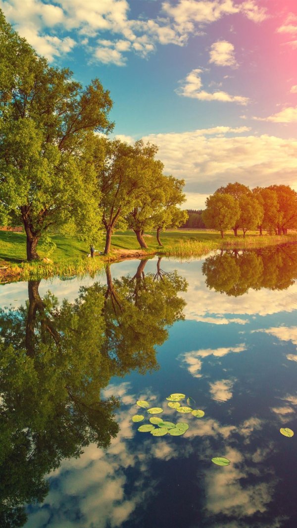 пейзажи с рекой