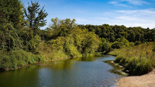 парк берег реки сходня