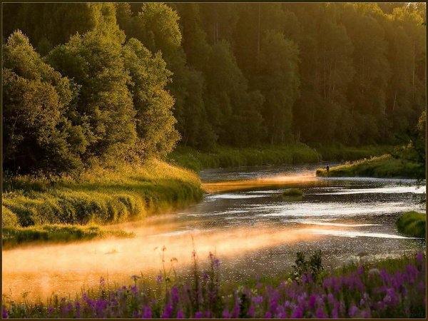красивый летний пейзаж