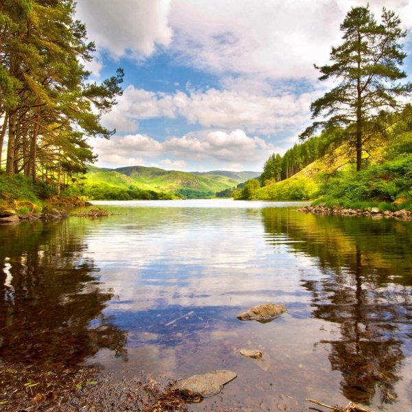 озеро в парке стоун маунтин