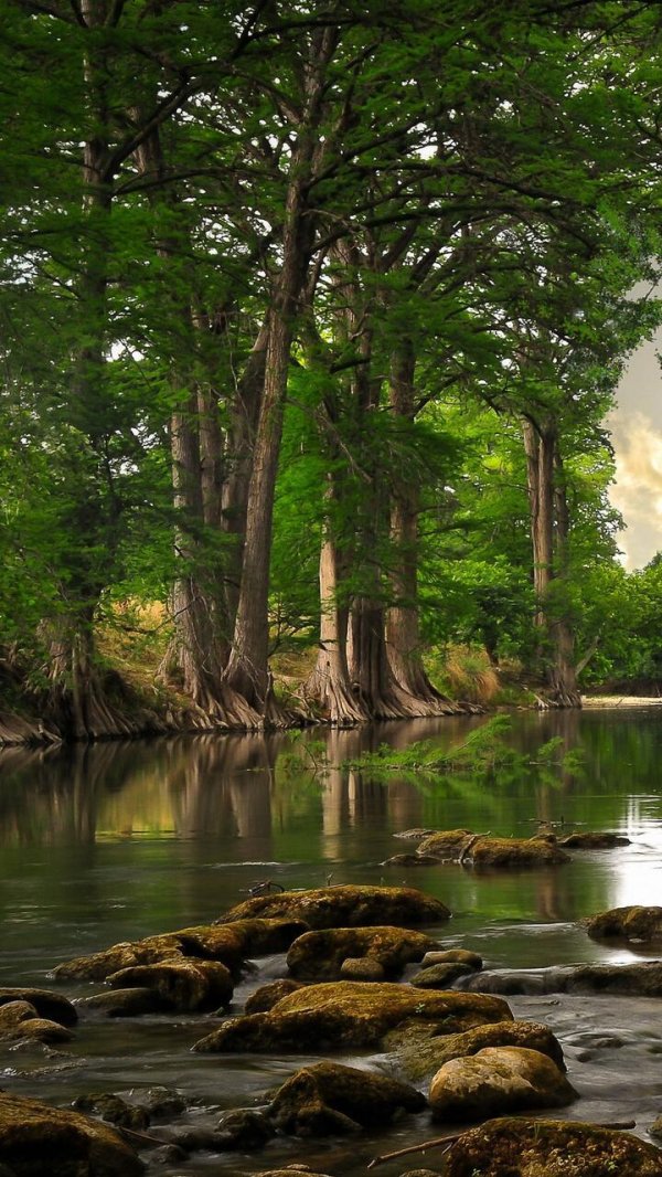 красивые пейзажи природы