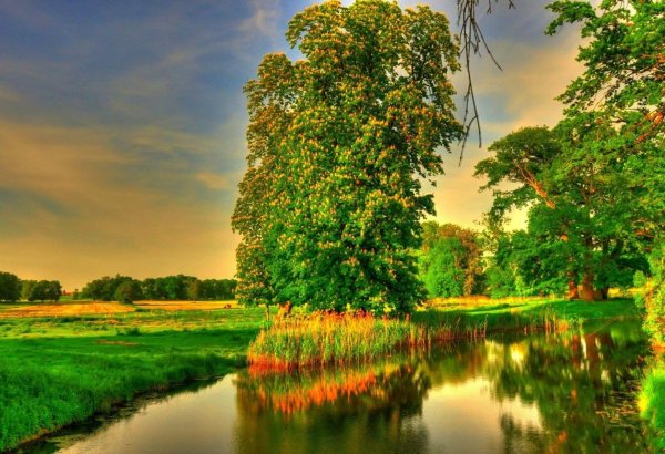 летние пейзажи