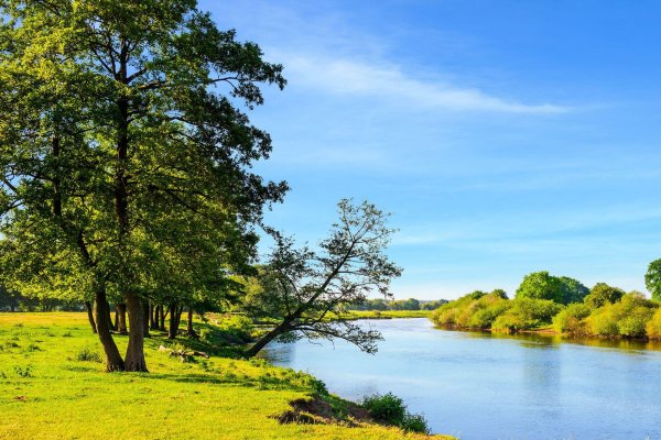 лето пейзаж вода