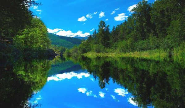 природа сибири