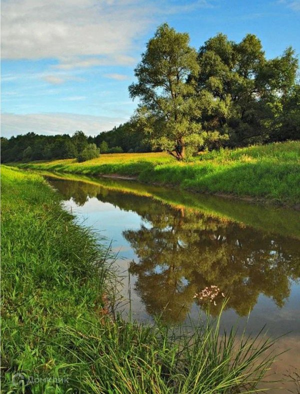 речка усманка воронеж