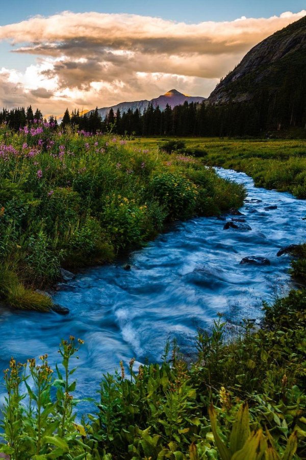 красивая речка