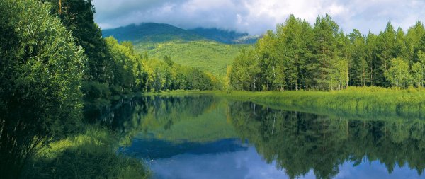 природа сибири