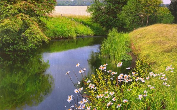 левитан речная заводь прудик