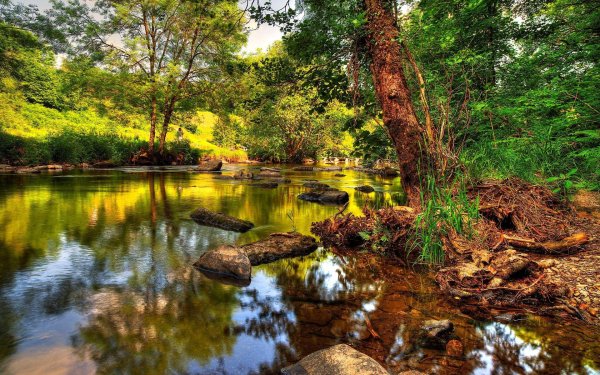 exmoor national park