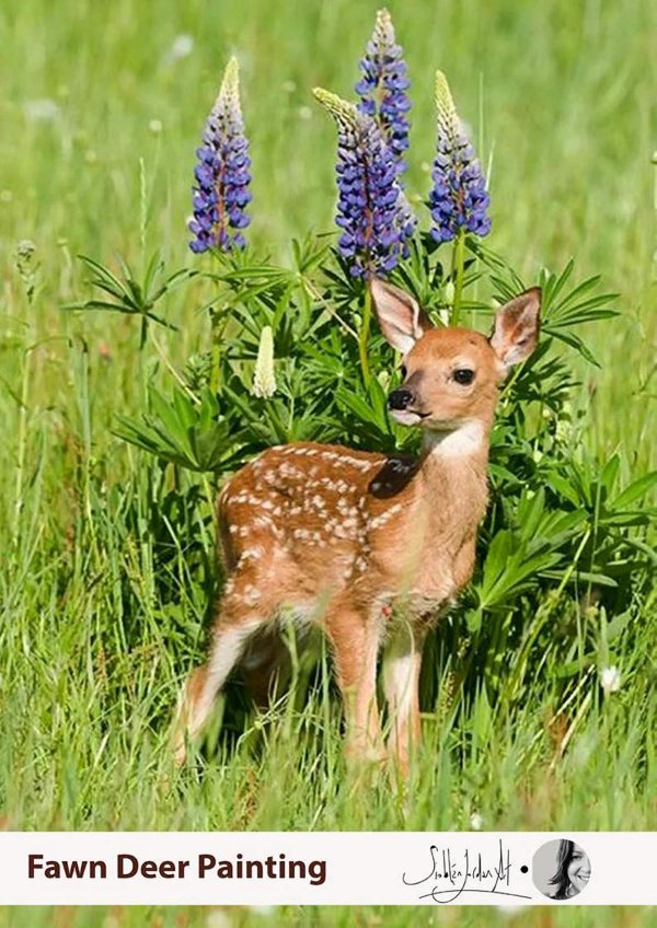 маленькая косуля