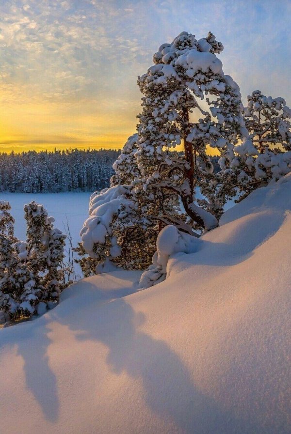 природа зимняя