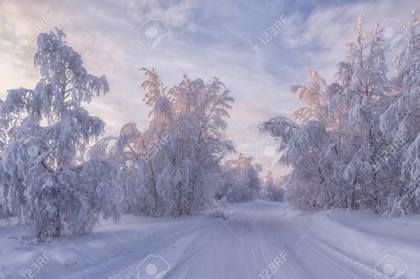 пейзаж зимнего леса