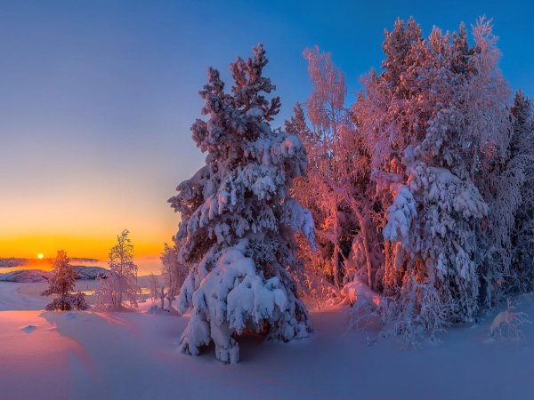 фёдор лашков карелия