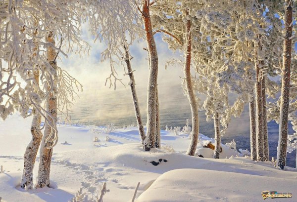 природа зимняя