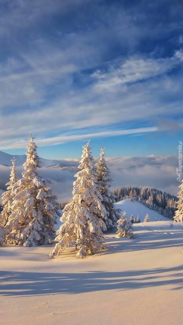 зимняя тематика