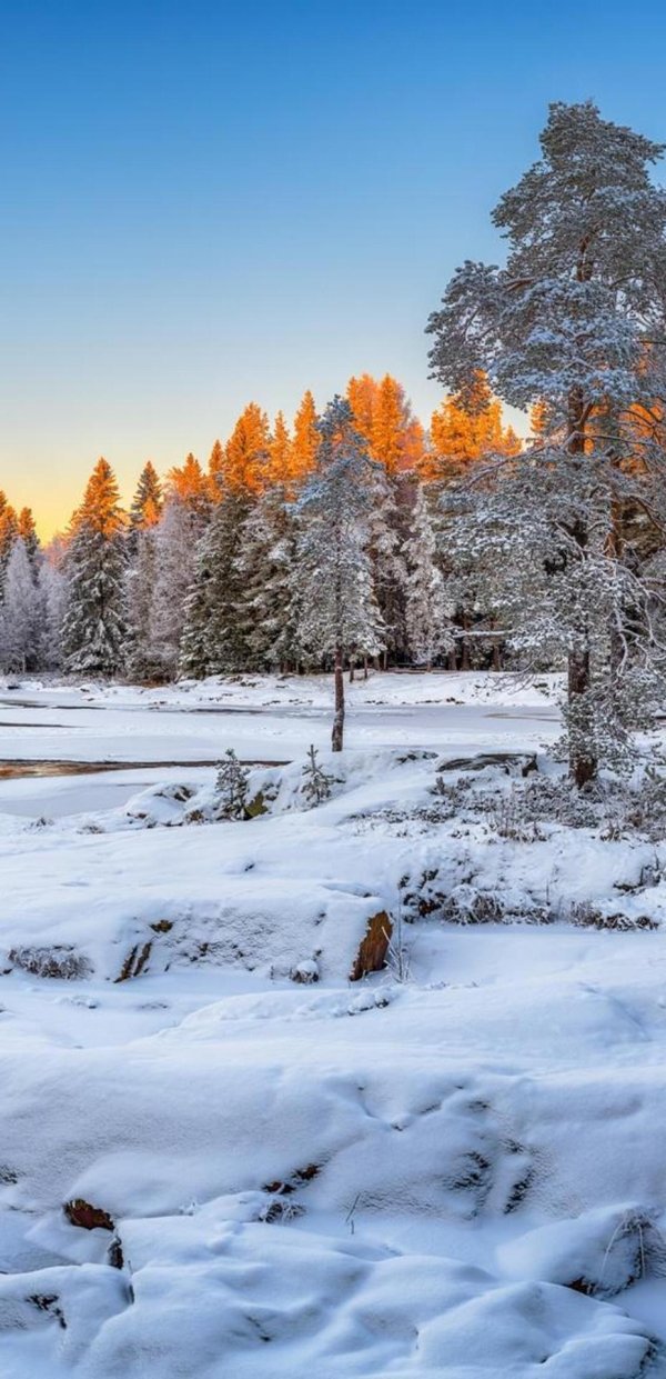 зимний пейзаж с рекой