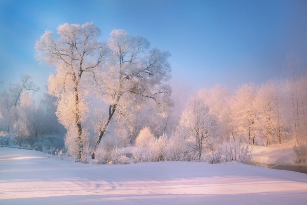 зимняя природа