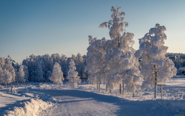 красивые зимние пейзажи