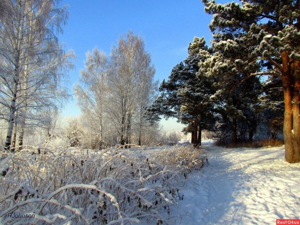 зимняя природа урала