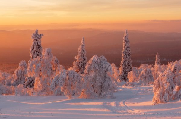 хребет уреньга