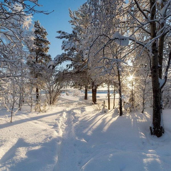 зимняя природа