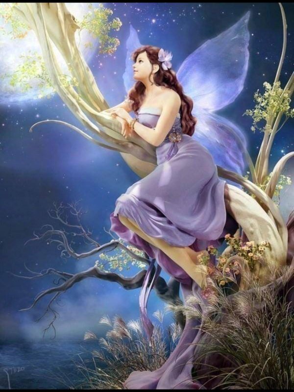 феи красивые