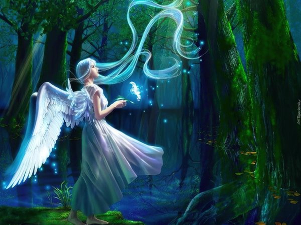 ангелы природы