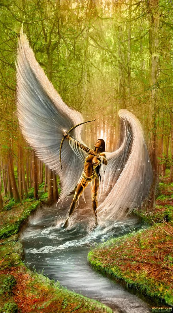 валеджио ангел