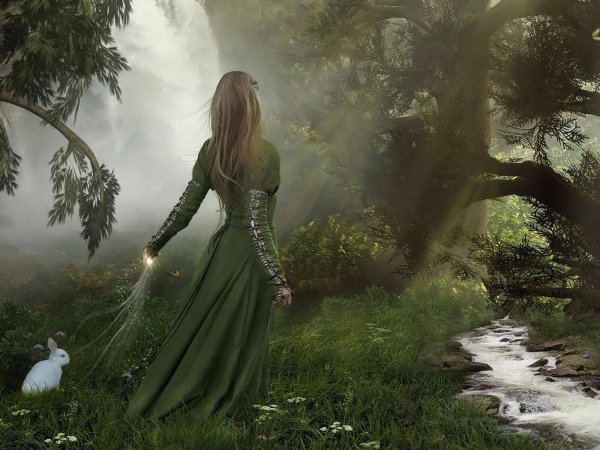 волшебница в лесу