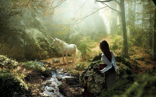 волшебный лес единорогов