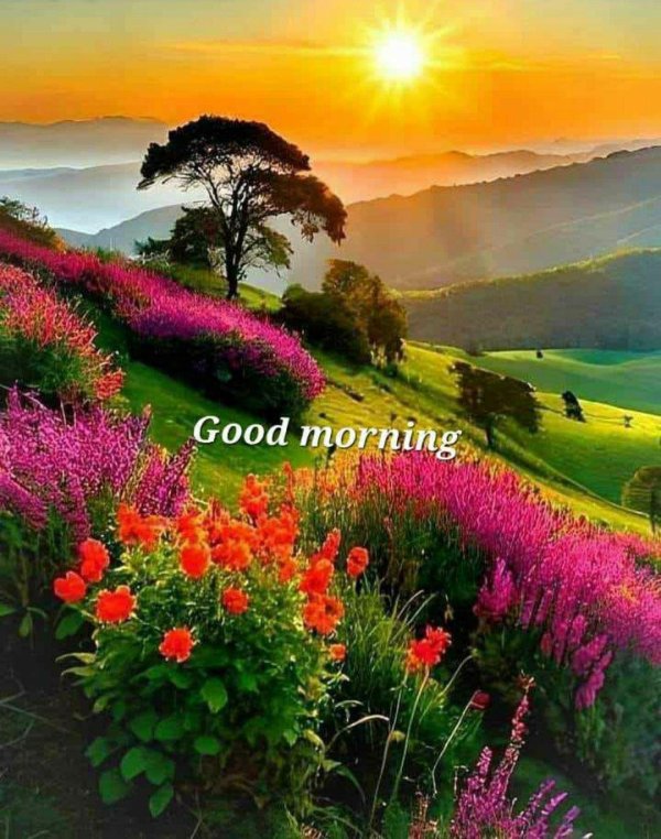 good morning sunrise