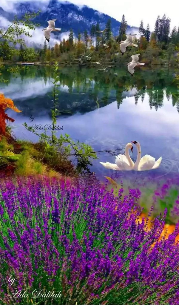 красота природа