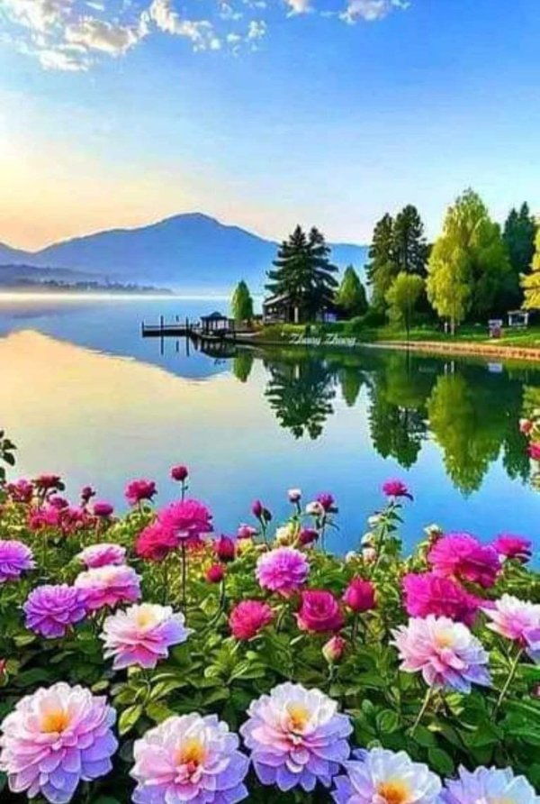 пейзажи летние