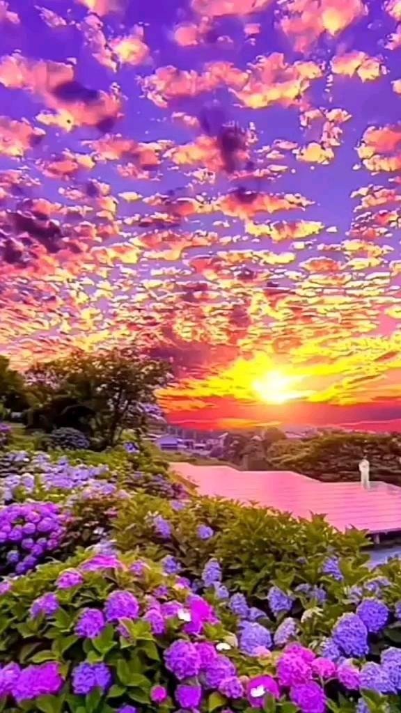 красивая цветок