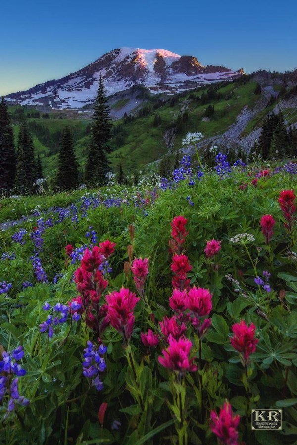 национальный парк маунт рейнир