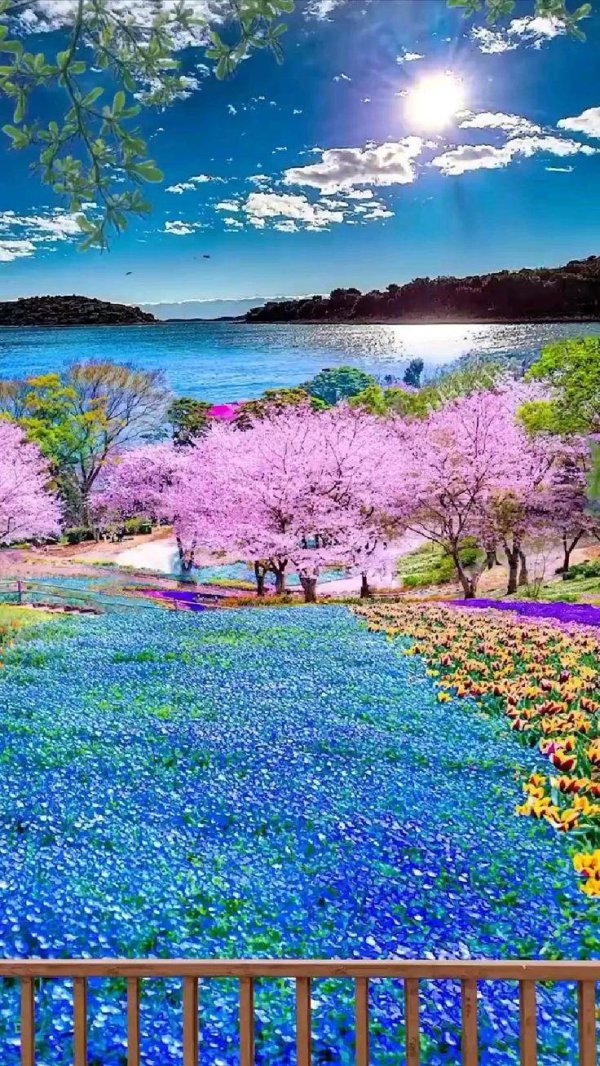 красивые сады