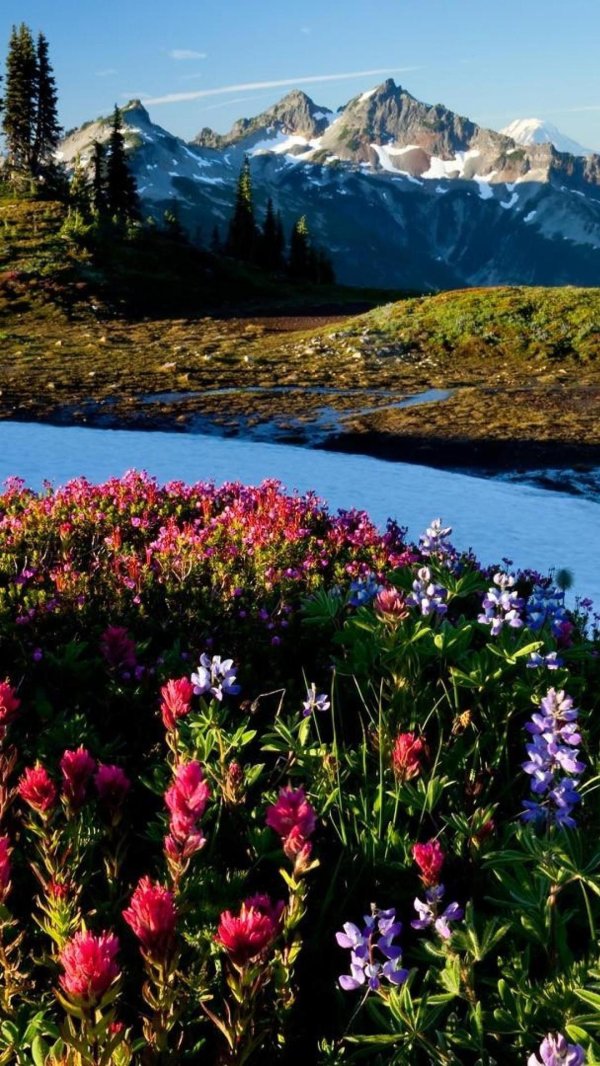 весна в горах