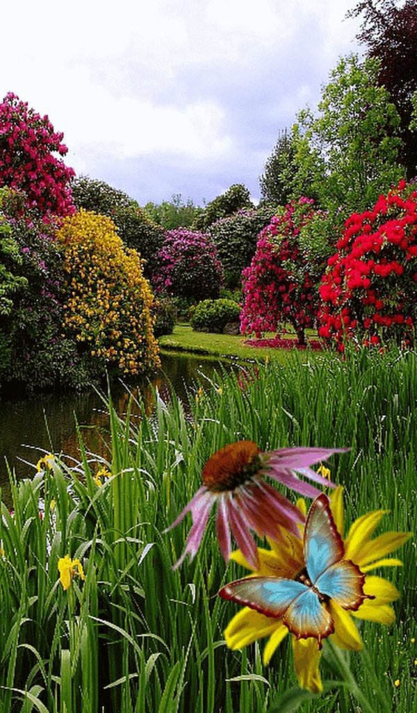 сады эксбери великобритания
