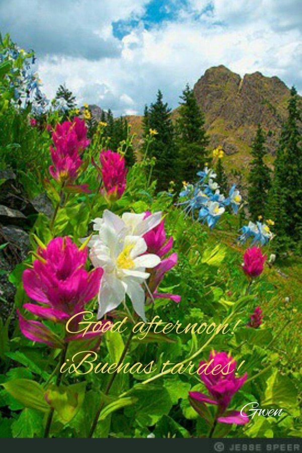 весна в горах