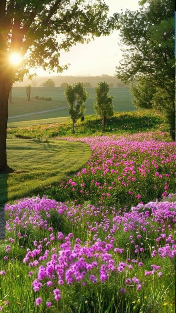 летние пейзажи