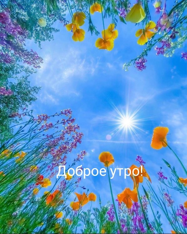доброе утро доброе утро