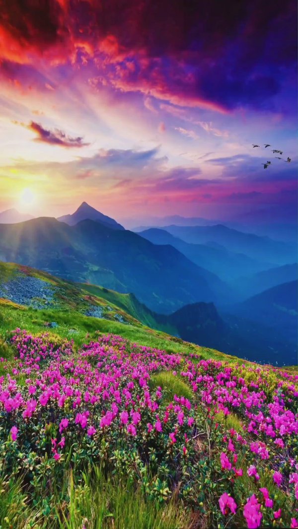 красивейшие пейзажи