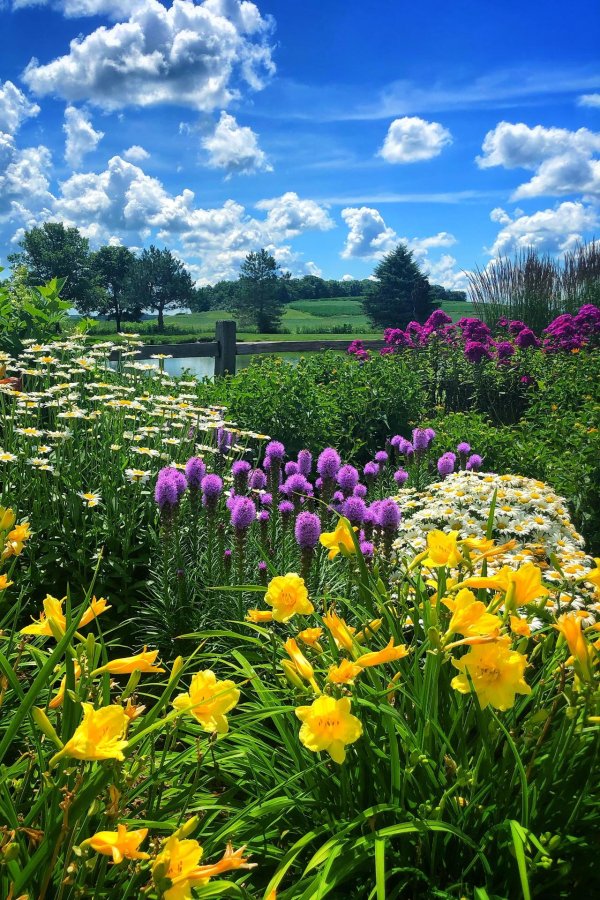 божественный пейзаж