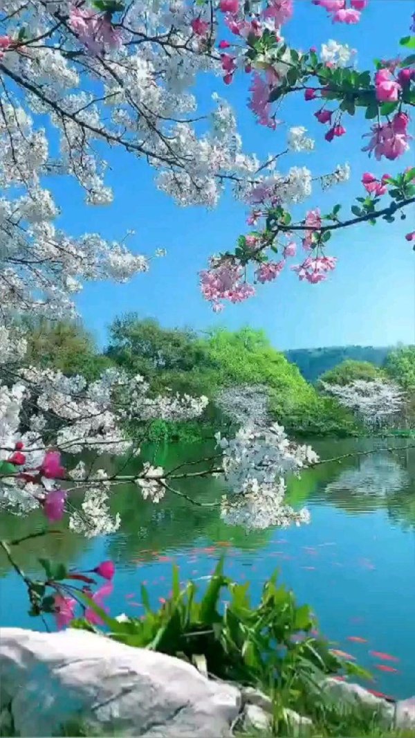 прекрасная весна