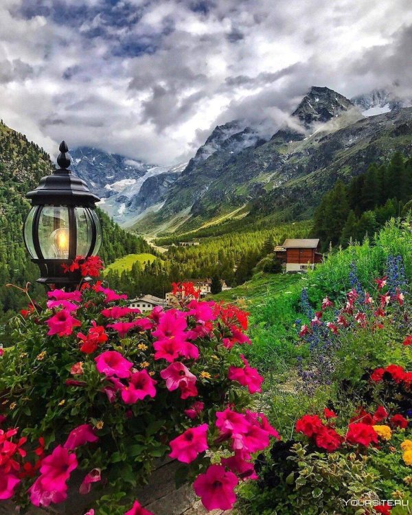 альпийские луга швейцария