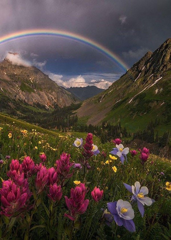 a rainbow in the sky