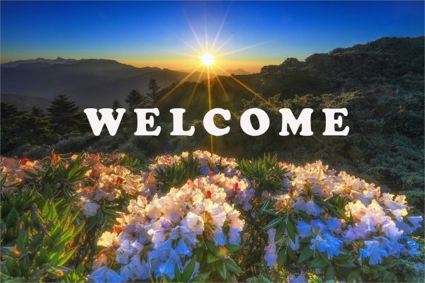 весенний рассвет