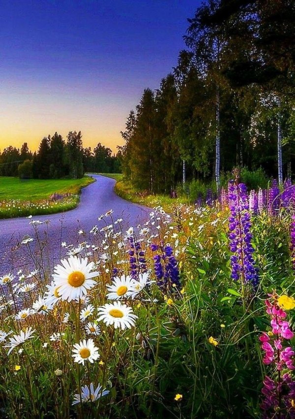 фотопейзажи сергея краева