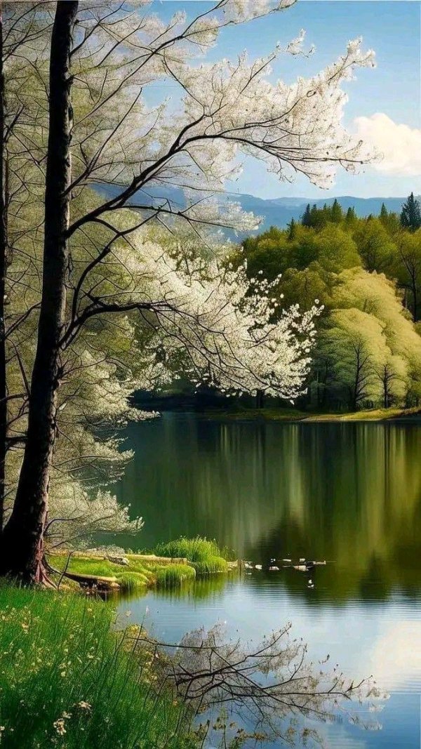 красивейшие пейзажи