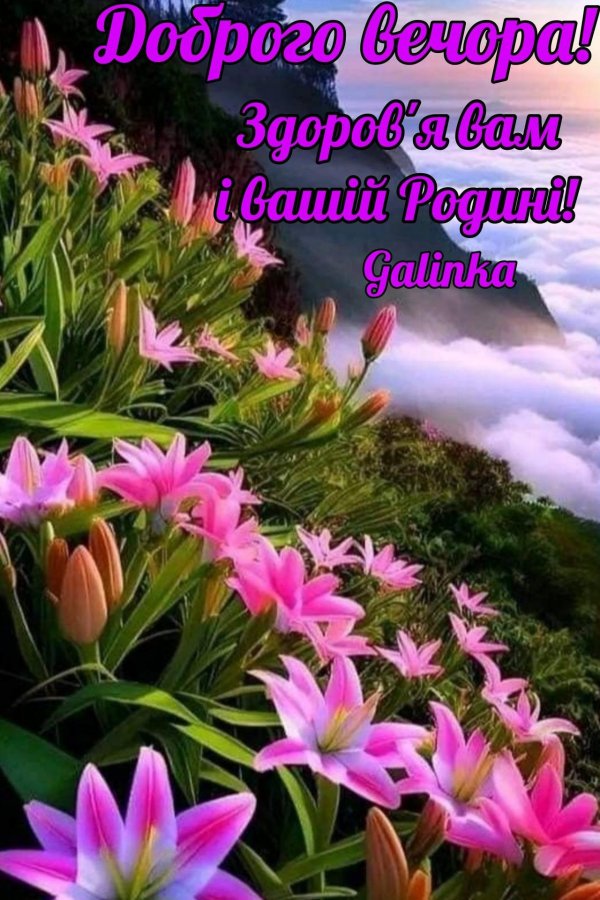 зефирантес выскочка